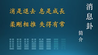 【易经·基础22· 消息卦·简介】 本集视频为你介绍易经中比较特殊的一组卦，这组卦被称之为消息卦。你想了解什么是消息卦吗？详情请看视频。