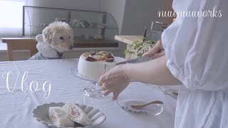 【暮らしVlog】ミトン編集長とTea time ・秋の味覚イチジクをお取り寄せ・シフォンケーキ・フルーツサンド