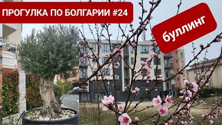 КВАРТАЛ ЧЕРНО МОРЕ | ПРОГУЛКА ПО БОЛГАРИИ #24 | БУЛЛИНГ В ШКОЛЕ