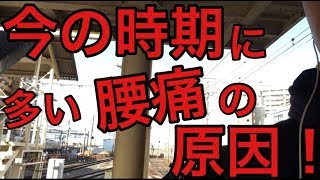 今の時期に多い腰痛の原因  横浜市 中区 関内　腰痛専門整体院 桜花