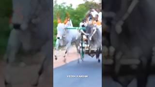 rekla race Whatsapp status / ilayavar peran kumar💥🎖️👑 #reklarace #whatsappstatus  #panthayam