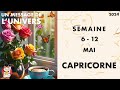 CAPRICORNE SEMAINE DU 6 AU 12 MAI 2024 JOUR PAR JOUR