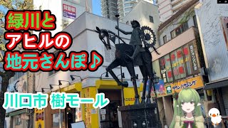 【樹モール】川口市・駅近の商店街を歩いてみた！【川口・蕨・戸田】