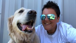 Golden Retriever Social