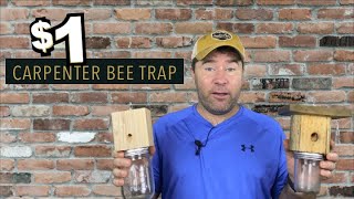 Make Your Own Carpenter Bee Trap for Under $1