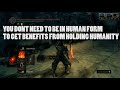 dark souls humanity explained reverse hollow kindling holding humanity...