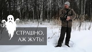 Ночевка в лесу. Страшно ли ходить в лес одному