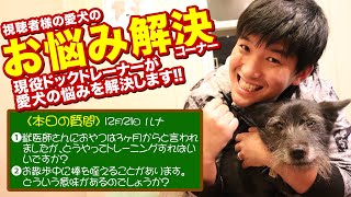 【愛犬のお悩み解決コーナー】獣医師さんにおやつは3ヶ月からと言われ ましたが、どうやってトレーニングすればい いですか？お散歩中に棒を咥えることがあります。どういう意味があるのでしょうか？