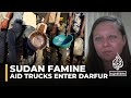 Fighting famine in Sudan: UN trucks carrying food aid enter Darfur region