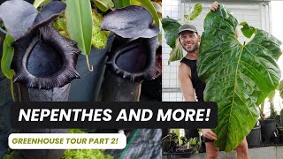 Tour Part 2: One of the USA's most spectacular Nepenthes collections!