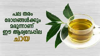 How To Make Neem Tea | നല്ല ആരോഗ്യത്തിന് കുടിക്കാം ആര്യവേപ്പില ചായ