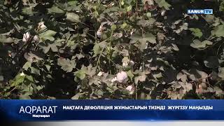 07.09.2022. МАҚТААРАЛ АУДАНЫ. МАҚТА ДЕФОЛЯЦИЯ ЖҰМЫСТАРЫН ЖҮРГІЗУ МАҢЫЗДЫ