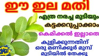 💯എത്ര നരച്ച മുടിയും കട്ടക്കറുപ്പാക്കാം കെമിക്കലില്ലാതെ🤗🤗🤗#homeremedy#naturalhairdye#ammoosanoos