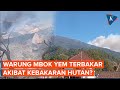 Ramai Kabar Warung Mbok Yem Terdampak Kebakaran Hutan Gunung Lawu