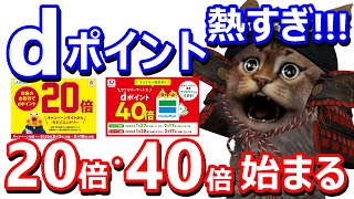 dポイントローソンで20倍ファミマで40倍のキャンペーン！2月はd払いのキャンペーンと組み合わせたら実質30％還元で超絶お得