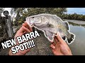 Found A New Spot At Pulau Ubin!!! [BARRAMUNDI FISHING]  - Episode 33