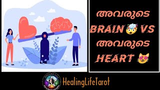 അവരുടെ Brain-ലും Heart-ലുമുള്ള ചിന്തകളെ വിശദമായി നോക്കാം🥰🔮🧿 #relationshipreadings #currentfeelings