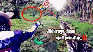 Spot ini HARUS diTandai dulu‼ spot potensial mancing gabus || spot casting daerah pontianak kakap