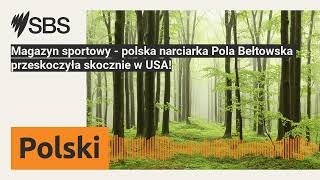 Magazyn sportowy - polska narciarka Pola Bełtowska przeskoczyła skocznie w USA! | SBS Polish -...