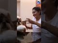 നീ ഇപ്പൊ എന്നാടാ കാണിച്ചേ mahima nambiar funny reel