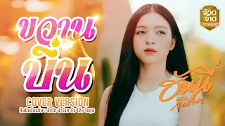 ขวานบิ่น - ฮันนี่ นิชาดา【COVER VERSION】original : สิงโต นำโชค กับ โจ๊ก โซคูล