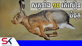 សត្វ ១០ប្រភេទ ដែលមានល្បឿនលឿនបំផុតនៅលើពិភពលោក