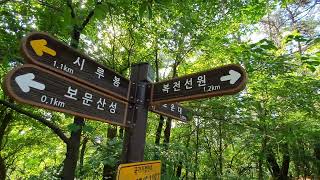 [4]보문산 맨발걷기,보문산성에서 보운대(전망대) 방향으로 산행,폐암환자 브이로그 (암환자 일상)