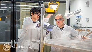 Ingenious Engineering Hack to Extend Solar Panel Lifespan