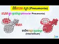 រោគវិទ្យា 13 ជំងឺរលាកសួត pathology of pneumonia