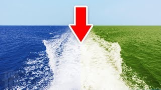 Why These 2 Oceans Don't Mix