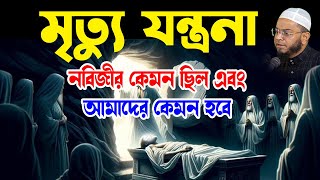 মৃত্যু যন্ত্রনা কার কেমন হবে nasir uddin Ansari new waz নাসির উদ্দিন আনসারী নতুন ওয়াজ| Rahe Najat