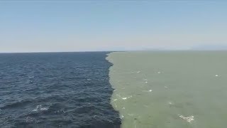 Atlantic and Pacific Ocean DO NOT MIX