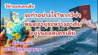 วีซ่าออสเตรเลียหมดอายุระหว่างอาศัยอยู่ในออสเตรเลียทำยังไงดี?? มีคำแนะนำ#วีซ่าออสเตรเลีย