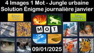 4 Images 1 Mot - Jungle urbaine - 09/01/2025 - Solution Énigme Journalière - janvier 2025