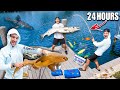 FINDING SHARKS Using 1,000 LBS of Dead Fish For My SALTWATER POND! (Can Sharks Smell Blood?)