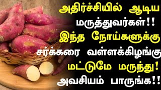 சர்க்கரை வள்ளக்கிழங்கு மருத்துவ நன்மைகள்!|Sakkaravalli Kilangu Benefits in Tamil | Health Tips Tamil