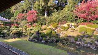 静岡県・浜松市北区・龍潭寺と井伊谷宮