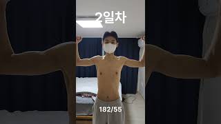 멸치가 꾸준히 푸쉬업 했을때 몸변화 2일차 멸치가 운동했을때 벌크업했을때