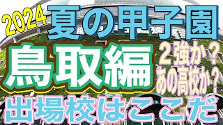 【夏の甲子園】出場校大予想‼️鳥取編‼️熱いです‼️