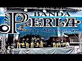 Banda perla de Michoacán (los once pueblos )