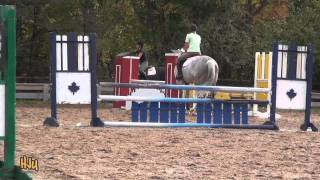 HorseJunkiesUnited.com - 3/3 Jumping Lesson with Margie Gayford