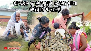 ଇଂରେଜ ଙ୍କୁ ଦେଖିଥିବା ଜେଜେ ମାଆ ବର୍ତ୍ତମାନ ବି ଅଛନ୍ତି  || @tribevloggerrani9457