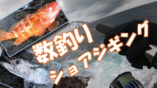 絶海の孤島で夏のショアジギング！【青木拓磨】