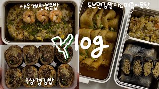 SUB) Keep Making Lunchboxes for My Sis💪🏻Beef Belly Gimbap, Shrimp & Egg Fried Rice