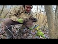 КОП В ЗМЕИНОМ ЛОГОВЕ metal detecting