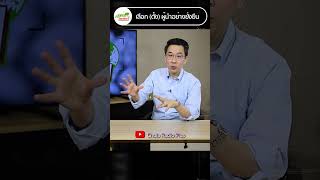 [intro] แนวคิดการเลือกผู้นำอย่างยั่งยืน | envi insider