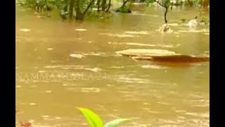 ಮಳೆ  ನಿಂತು ಹೋದ ಮೇಲೂ...!!