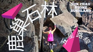 #行山好去處 | #鹿巢石林難上｜#梅子林 | Luk Chau Stone Bushland | Ep.3