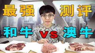 【大祥哥來了】千元級的和牛真的是最好吃的牛肉嗎？快來看看哪種牛肉最適合你！