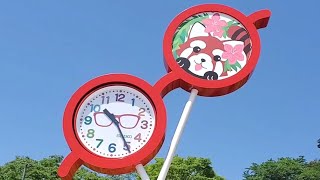 【西山公園　眼鏡型時計モニュメントと西山動物園。ニンジンよりもリンゴを真っ先に食べるレッサーパンダのピースケ他・・・】（福井県）